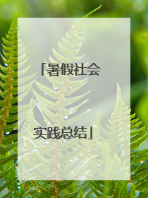 暑假社会实践总结