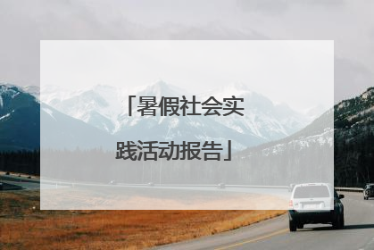 暑假社会实践活动报告