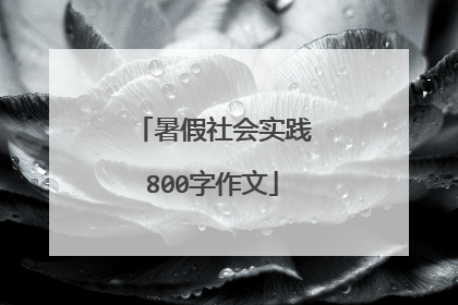 暑假社会实践800字作文