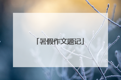 暑假作文题记