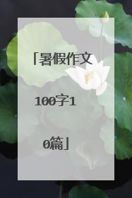 暑假作文100字10篇