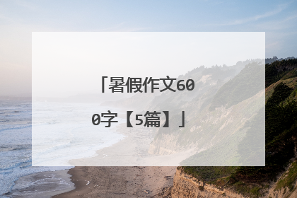 暑假作文600字【5篇】
