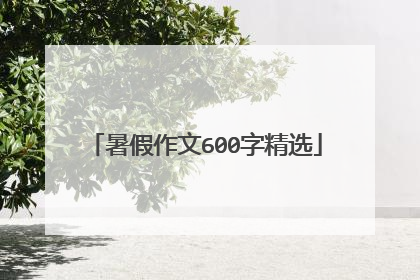 暑假作文600字精选