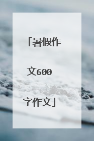 暑假作文600字作文