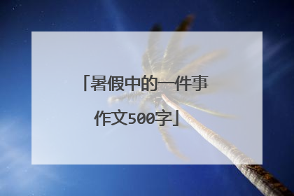 暑假中的一件事作文500字