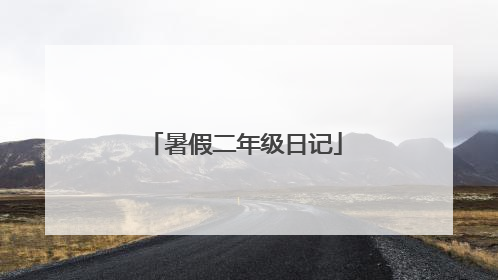 暑假二年级日记