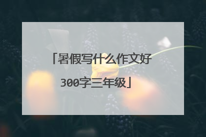 暑假写什么作文好300字三年级