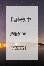 暑假初中周记600字左右