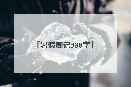 暑假周记300字