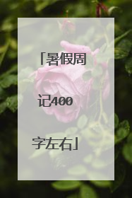 暑假周记400字左右