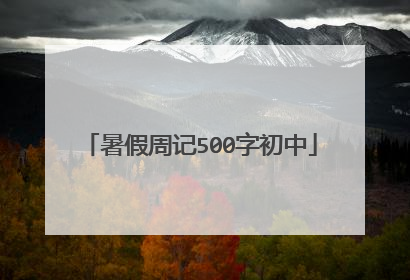 暑假周记500字初中