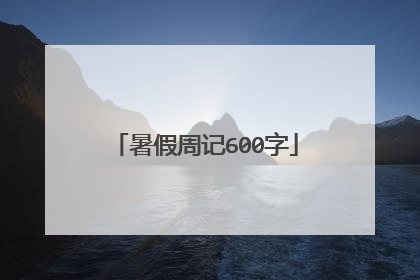 暑假周记600字