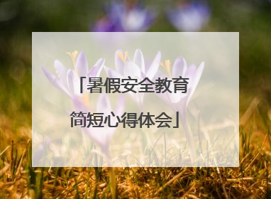 暑假安全教育简短心得体会