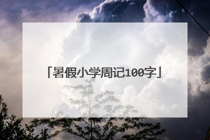 暑假小学周记100字