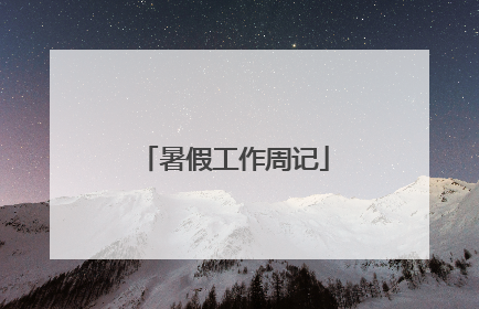 暑假工作周记
