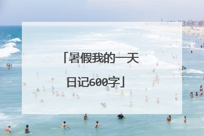 暑假我的一天日记600字
