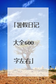 暑假日记大全600字左右