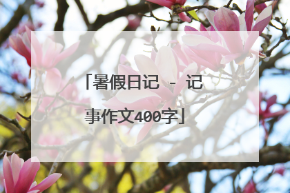 暑假日记 - 记事作文400字