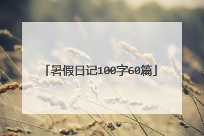 暑假日记100字60篇