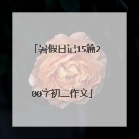 暑假日记15篇200字初二作文