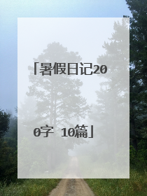 暑假日记200字 10篇