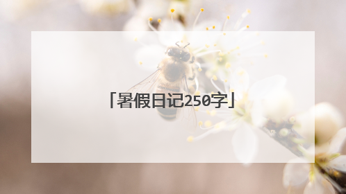 暑假日记250字