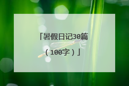 暑假日记30篇（100字）