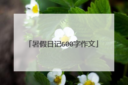 暑假日记600字作文