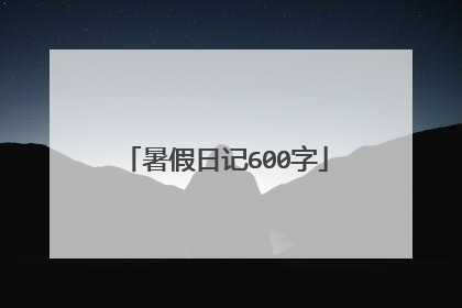 暑假日记600字