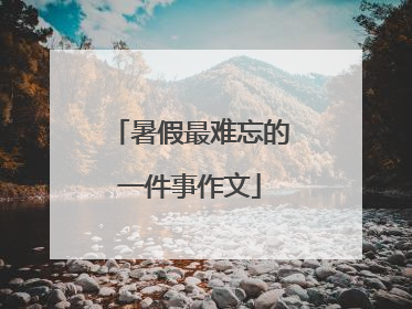 暑假最难忘的一件事作文