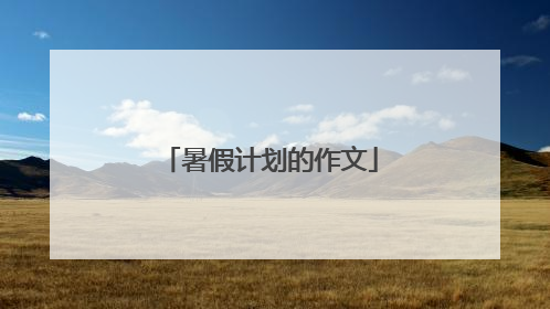 暑假计划的作文