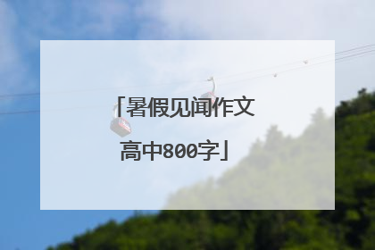 暑假见闻作文高中800字