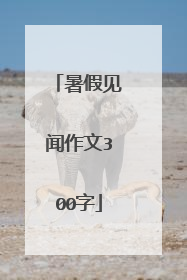 暑假见闻作文300字
