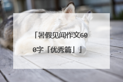 暑假见闻作文600字「优秀篇」