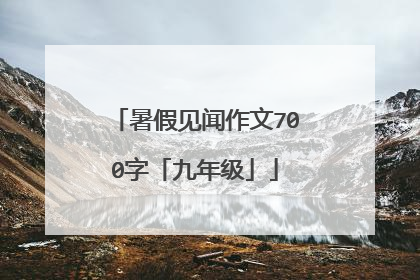 暑假见闻作文700字「九年级」