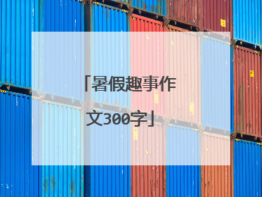 暑假趣事作文300字