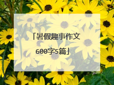 暑假趣事作文600字5篇