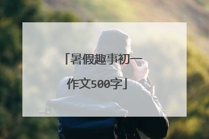 暑假趣事初一作文500字