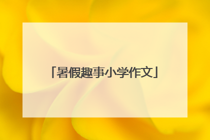 暑假趣事小学作文