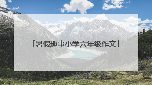 暑假趣事小学六年级作文