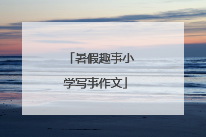 暑假趣事小学写事作文