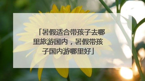 暑假适合带孩子去哪里旅游国内，暑假带孩子国内游哪里好