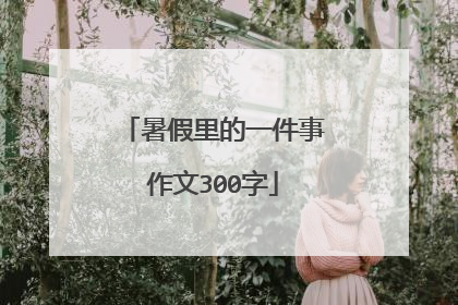 暑假里的一件事作文300字
