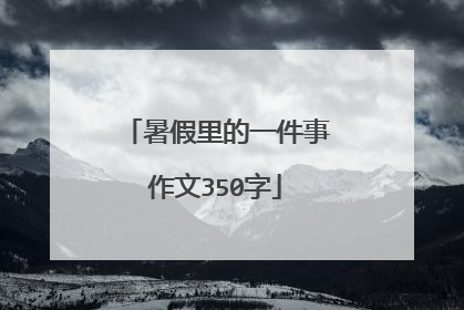 暑假里的一件事作文350字