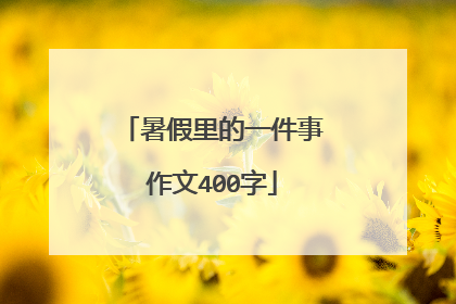 暑假里的一件事作文400字