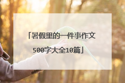 暑假里的一件事作文500字大全10篇