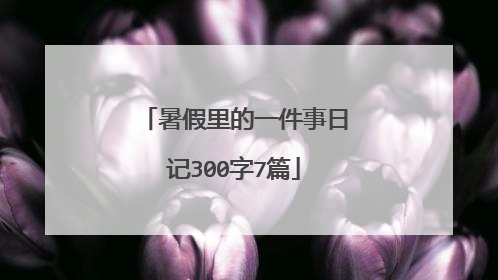 暑假里的一件事日记300字7篇