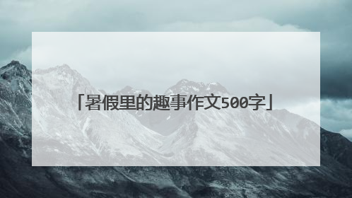 暑假里的趣事作文500字