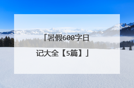 暑假600字日记大全【5篇】