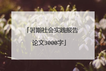 暑期社会实践报告论文3000字